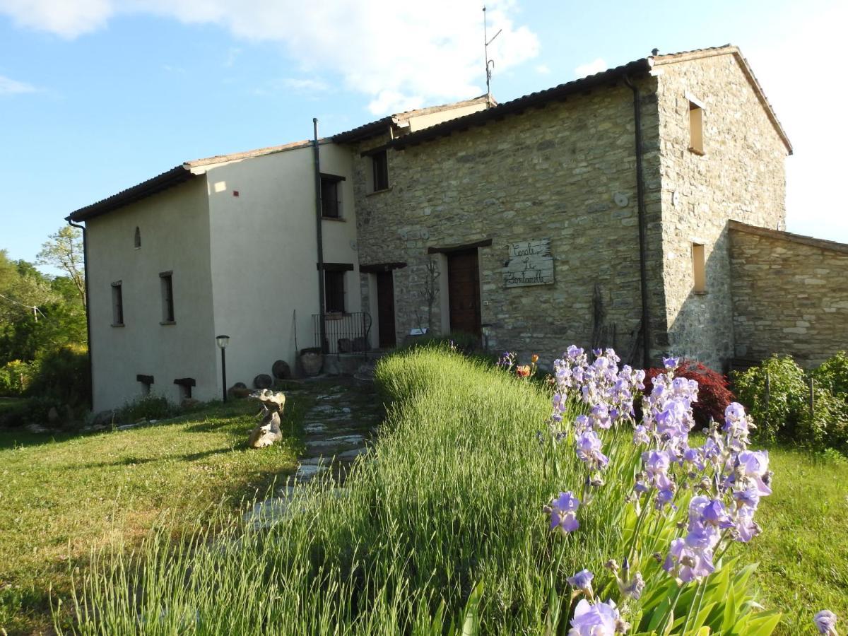 Готель Casale Le Fontanelle Monte Grimano Terme Екстер'єр фото